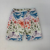 Deep Sea Rainbow Shorts | Stock