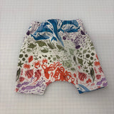 Deep Sea Rainbow Shorts | Stock