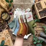 Beetles + Bugs Bloomers