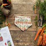 Carrot Row Dribble Bib