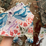 Deep Sea Rainbow New Baby Bundle