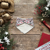 Holiday Truck Dribble Bib