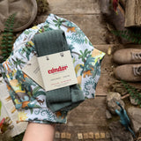 Jurassic Jungle Bloomers