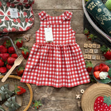 Picnic Check Dress Bundle