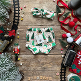 Purrfect Christmas Bloomers | Ready To Post