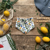 Toucan Tropics New Baby Bundle