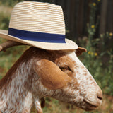 Doro Fedora Hat | Natural-Navy