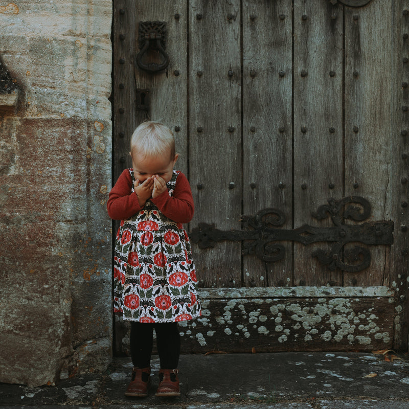 Crows & Curiosity Dress
