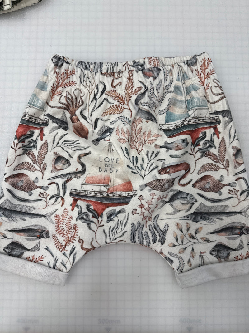 Ocean Life Shorts | Ready To Post
