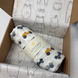 Miscellaneous Prints Swaddle Blankets SALE
