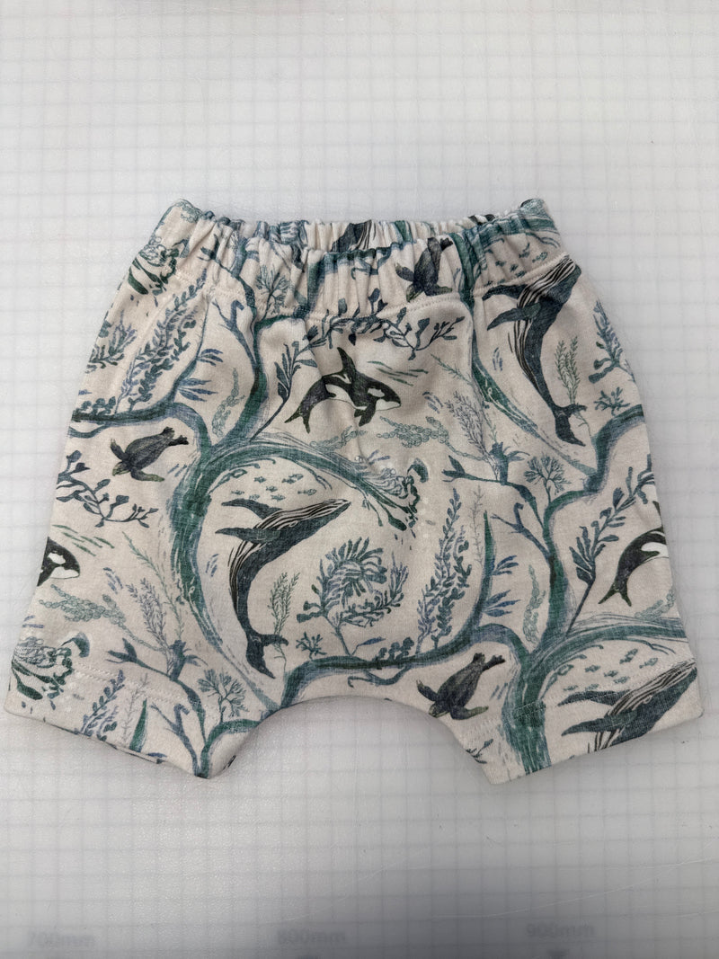 Whale Waves Harem Stitched Shorts | Ready To Post