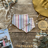 Boardwalk Stripe Dribble Bib