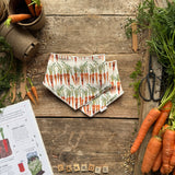 Carrot Row Dribble Bib