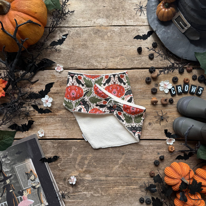 Crows & Curiosity Dribble Bib