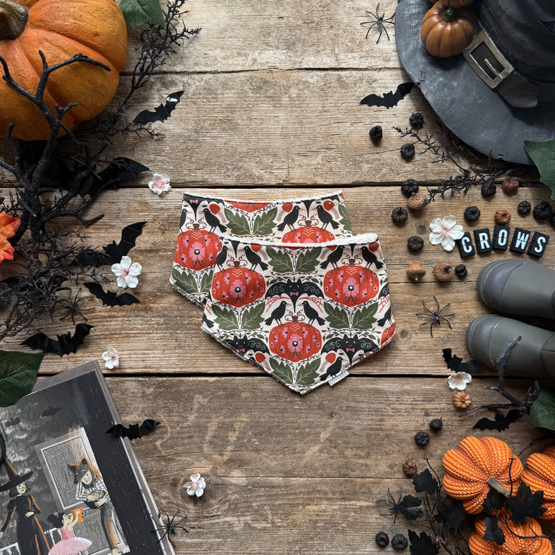 Crows & Curiosity Dribble Bib