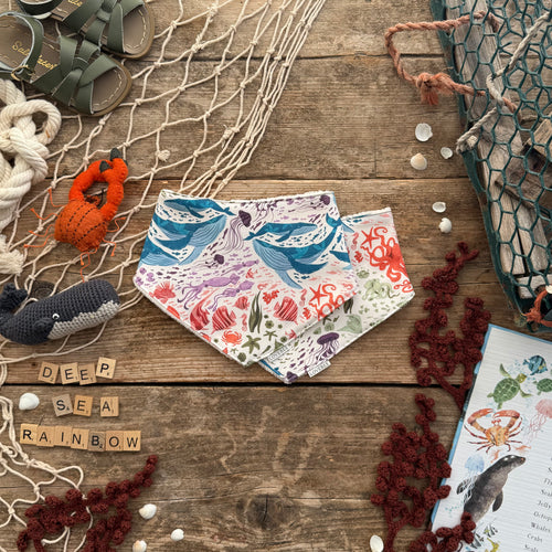 Deep Sea Rainbow Dribble Bib