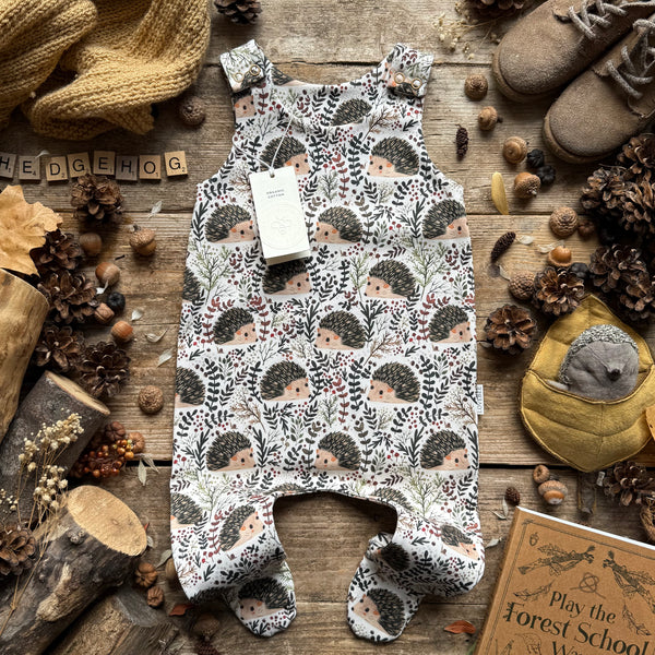 Hedgehog Hideaway Footed Romper
