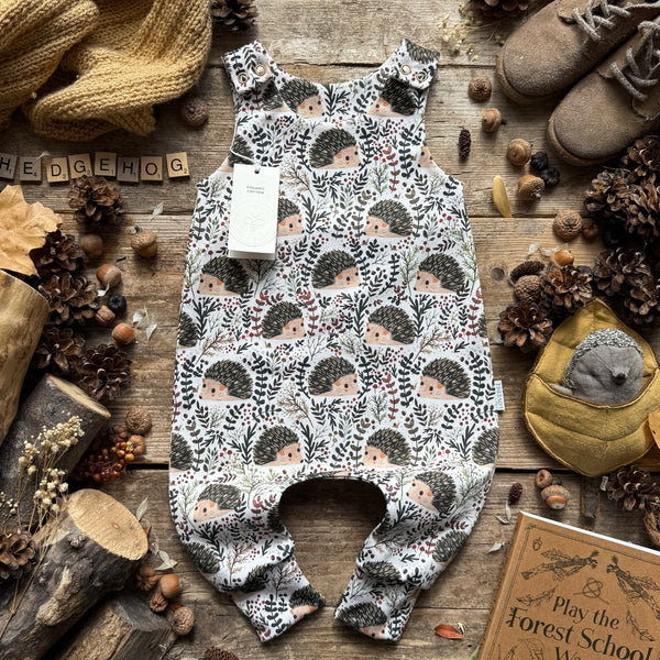 Hedgehog Hideaway Long Romper