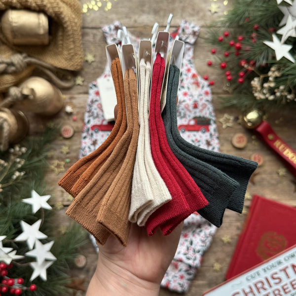 Holiday Truck | Style With Bee | Socks