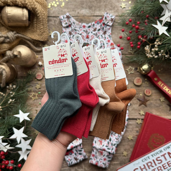 Holiday Truck | Style With Bee | Socks