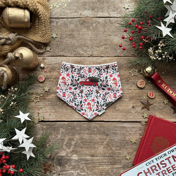 Holiday Truck Dribble Bib