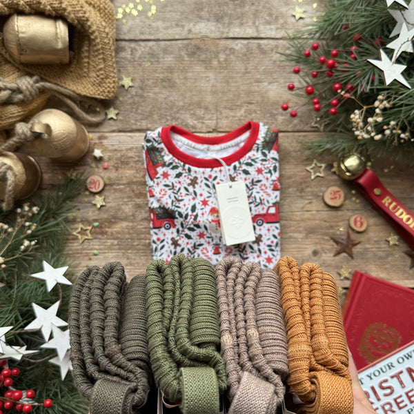 Holiday Truck | Style With Bee | Silly Silas