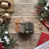 Holiday Truck | Style With Bee | Silly Silas
