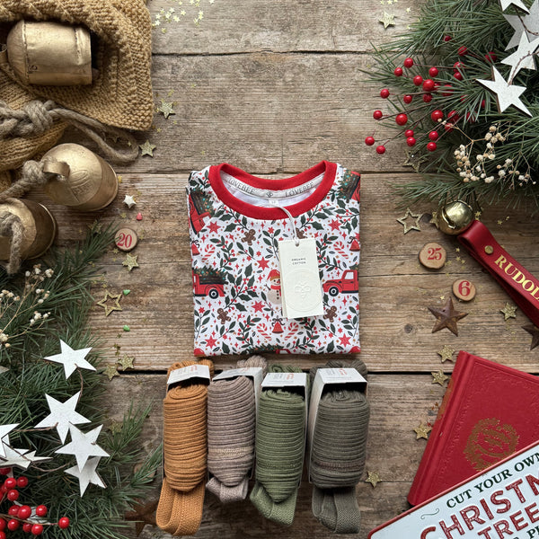 Holiday Truck | Style With Bee | Silly Silas