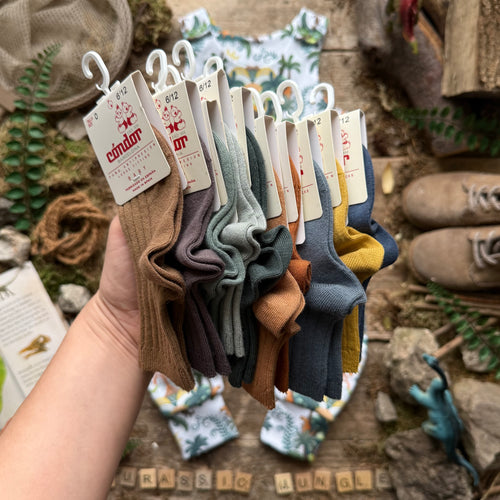 Jurassic Jungle | Style With Bee | Socks