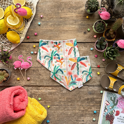 Palm Springs Dribble Bib