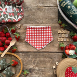 Picnic Check Dribble Bib