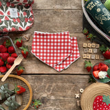 Picnic Check Dribble Bib