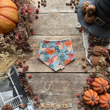 Pumpkin Meadow Dribble Bib