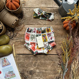 Seedling Season Dress Bundle