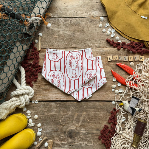 You're My Lobster (Red) Dribble Bib