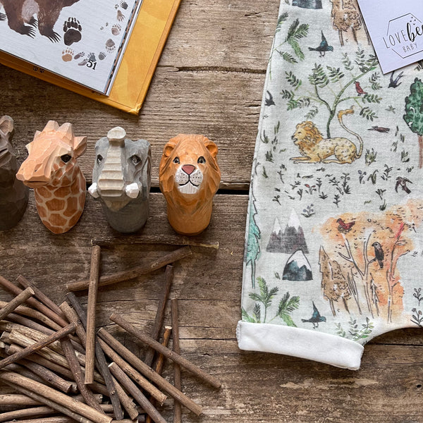 Menagerie Shorts | Ready To Post