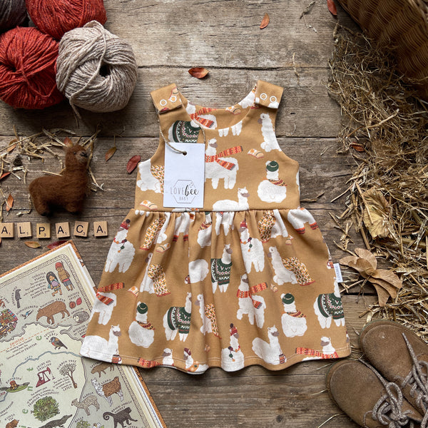 Alpaca Dress | Ready To Post